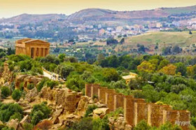 Pomarańcze I Mandarynki